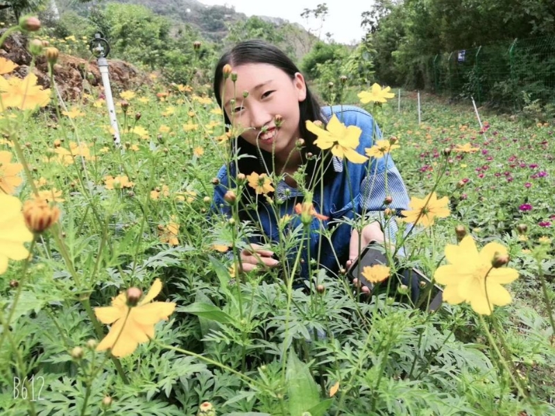 哈哈的第一张照片--昭通残疾人相亲网